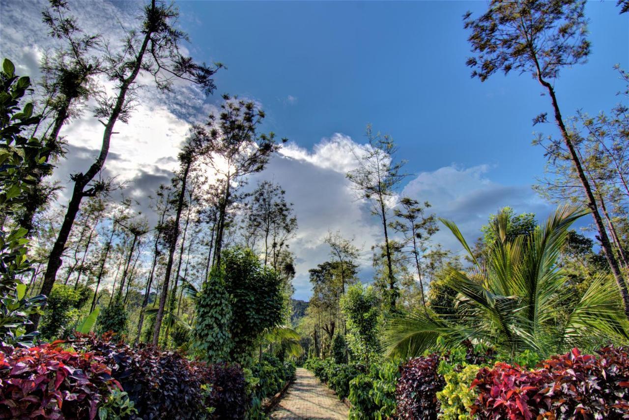 Coorg Bliss Estate Stay Madikeri Exterior photo